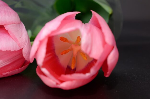 Tulipes sur une table avec une feuille verte au milieu.