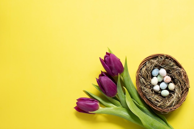 Tulipes violettes et oeufs de pâques sur fond jaune Printemps