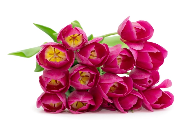 Tulipes