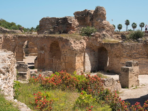 Photo la tunisie en afrique