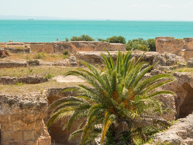 La Tunisie en Afrique.