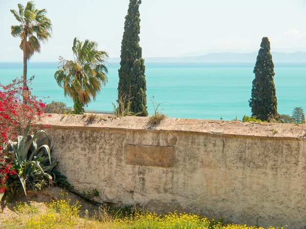 La Tunisie en Afrique.