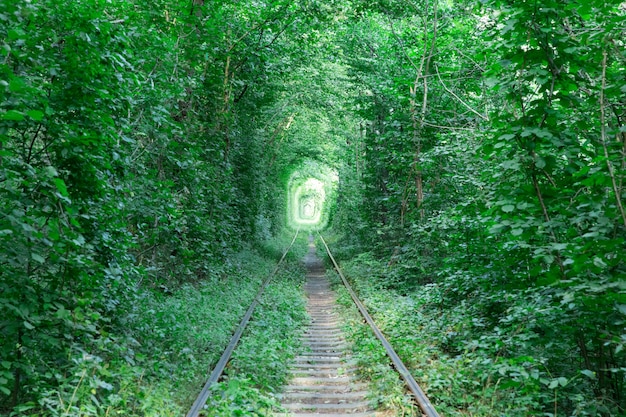 Tunnel de l'amour. Voie ferrée passant à travers la forêt