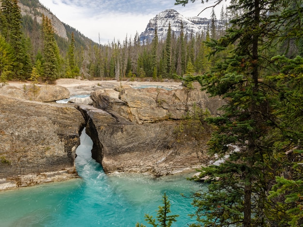 Tunnel naturel, pont rocheux, tunnel, dans, yoho parc national, colombie britannique, canada