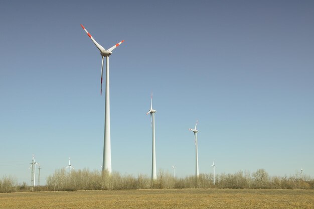 Turbine éolienne d'un parc éolien Énergies renouvelables