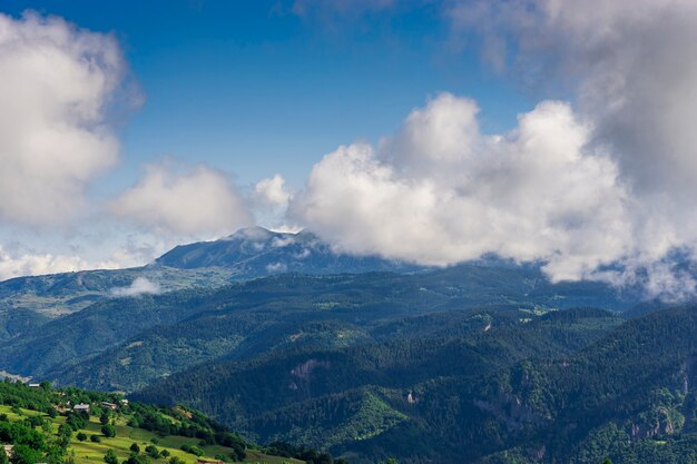 Turquie de la mer Noire et paysage forestier de pins verts avec ciel bleu nuageux