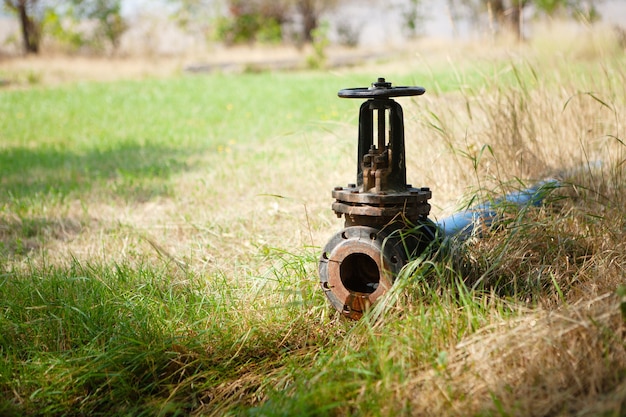 Tuyau d'alimentation en eau et vis pour l'irrigation