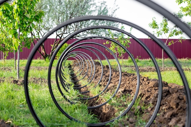 Photo un tuyau en plastique pour l'approvisionnement en eau d'un système d'irrigation au goutte-à-goutte tordu en spirale se trouve sur