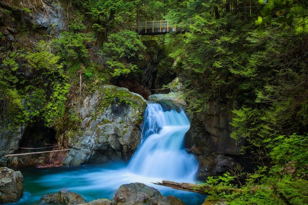 Twin Falls dans le parc Lynn Canyon North Vancouver Canada