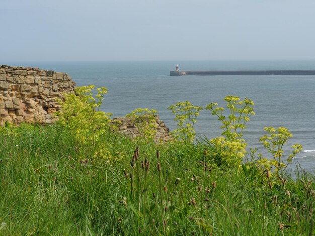 Photo tynemouth à la mer du nord.