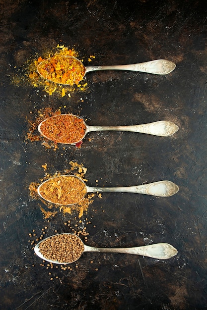 Types de diverses épices dans des cuillères sur une table sombre.