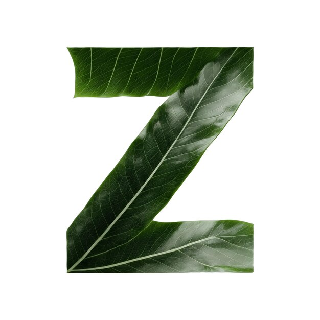 Photo la typographie à feuilles vertes est une conception de texte en majuscules alphabet z