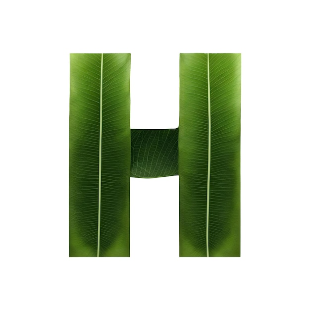 Photo la typographie à feuilles vertes est conçue en caractères majuscules h.