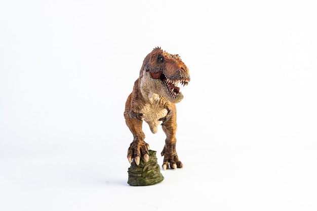 Tyrannosaurus T-rex, dinosaure isolé