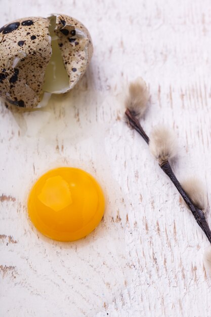 Œuf de caille dans la paille