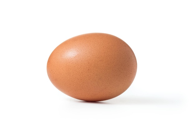 Œuf de poule