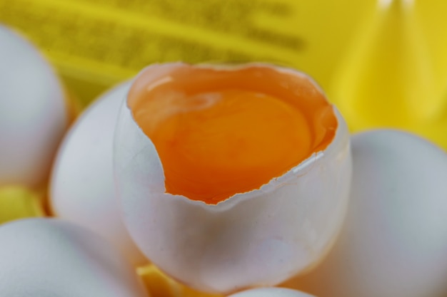 Œufs blancs dans une boîte en carton