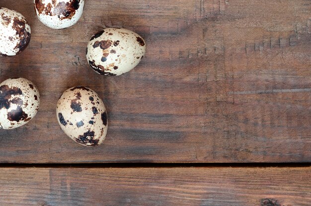 Œufs de caille sur une surface en bois brun foncé, vue de dessus, endroit vide pour le texte, la recette