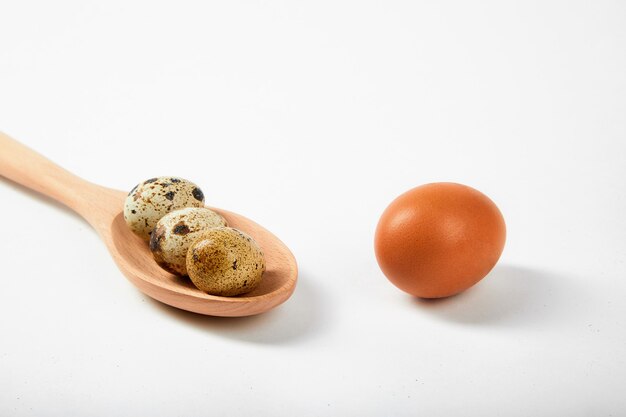 Œufs de différentes tailles: grands et petits, poulet et trois cailles.