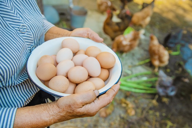 Œufs faits à la main dans les mains de grand-mère