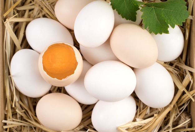 Œufs de poule blancs et bruns avec un œuf cassé au centre.