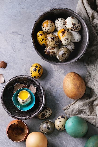 Œufs de poule et de caille colorés