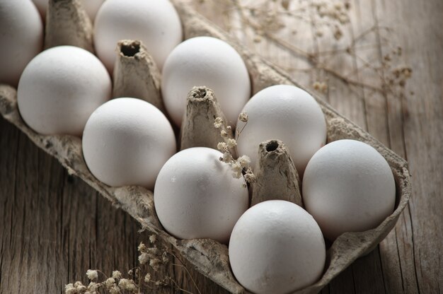 Œufs de poule dans un plateau au soleil du matin