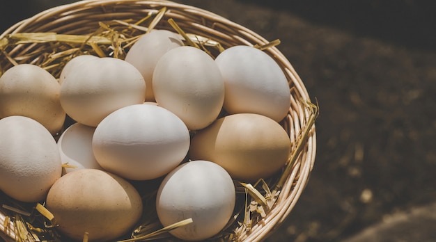 Œufs de poule faits maison dans un panier