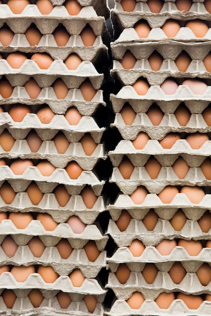 Œufs de poule frais dans un carton