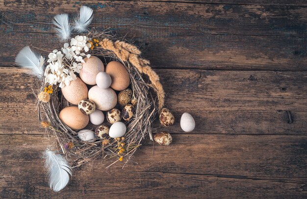 Œufs de poulet et de caille peints avec des colorants naturels dans un nid sur un fond en bois.