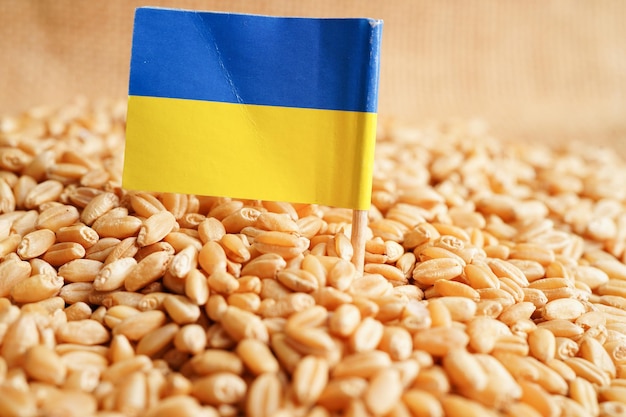 Ukraine sur le concept d'exportation et d'économie du commerce du blé grain