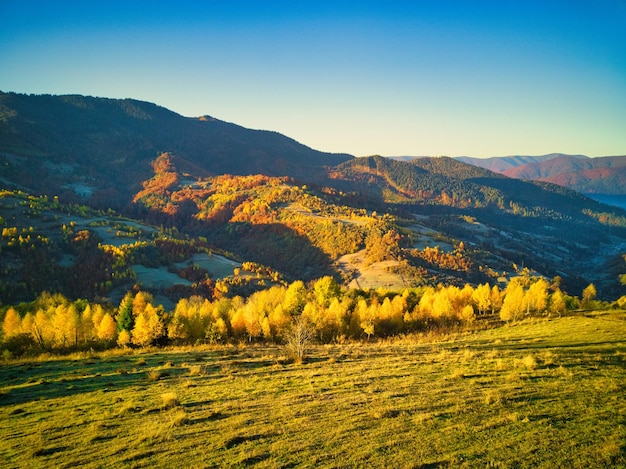 Ukraine Le lever du soleil brille dans les Carpates un brouillard coloré se répand sur les vallées et les basses terres de la chaîne de montagnes les prairies dorées sont d'une beauté éblouissante