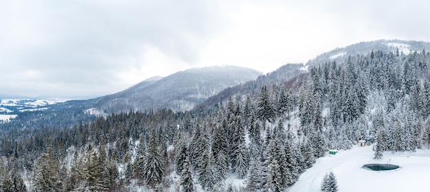 Ukraine les merveilleuses montagnes des Carpates Forêt de pins gelée avec neige vue d'en haut avec vue à vol d'oiseau de drone photographie abstraite de la forêt de Karkonosze dans les montagnes