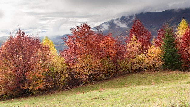 Ukraine les merveilleuses montagnes des Carpates Incroyable paysage de montagne avec un coucher de soleil coloré et vif sur le ciel nuageux fond naturel de voyage en plein air Monde de la beauté