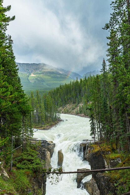 Upper Sunwapta Falls, rivière Athabasca dans le parc national Jasper, Canada.