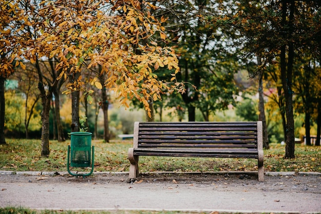 Une urne à côté d'un banc de parc vide