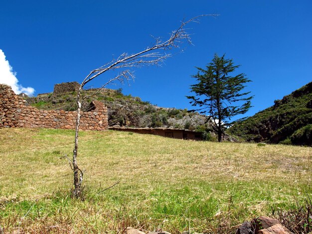 Urubamba Vallée Sacrée des Incas Pérou Amérique du Sud