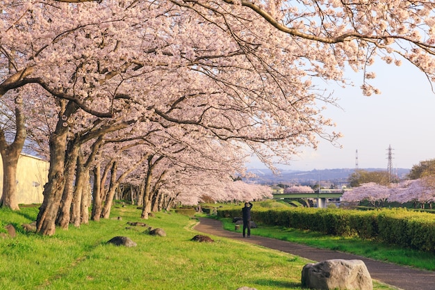 Urui rivière fujinomiya Shizuoka japon