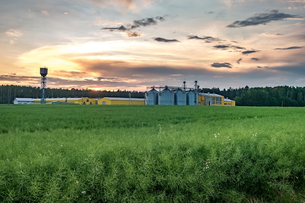 Usine agroalimentaire pour la transformation et les silos pour le nettoyage à sec et le stockage des produits agricoles farine céréales et grains