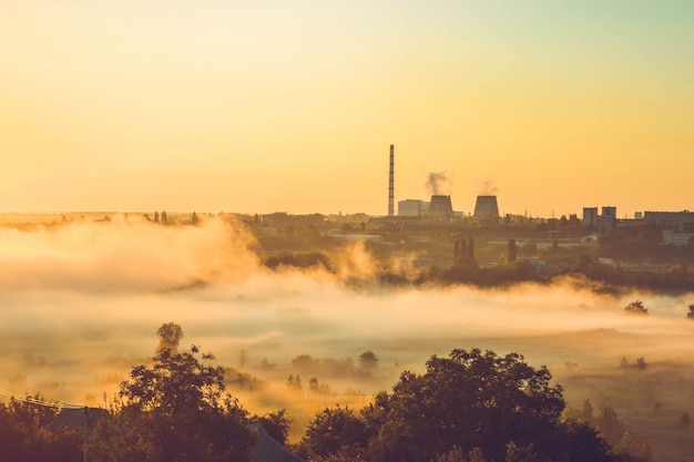 Usine et champ avec brouillard