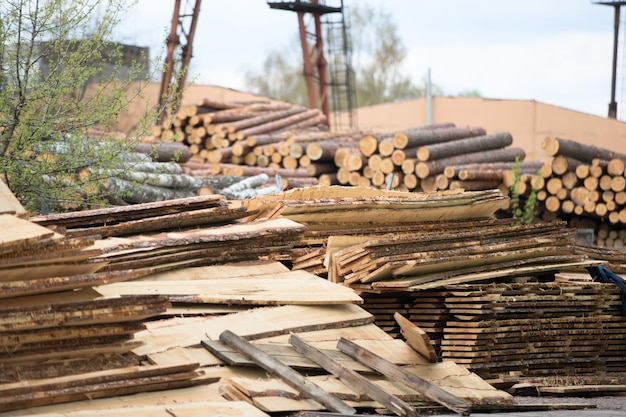 Usine de menuiserieBois en production