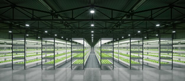 Usine de plantes potagères hydroponiques intérieures dans l'entrepôt de l'espace d'exposition