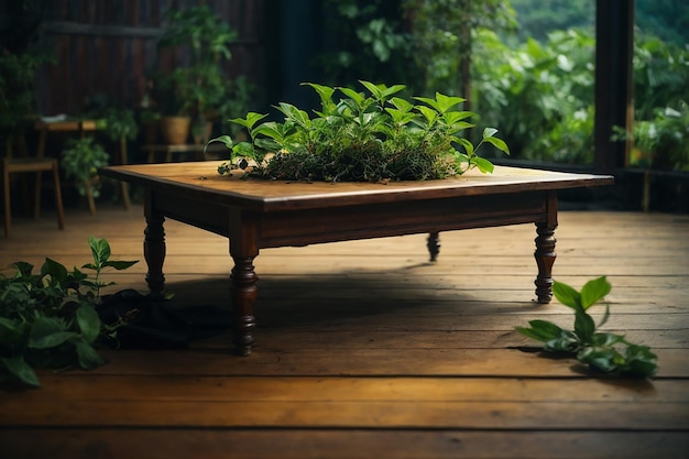 Usine de thé de fond de table en bois