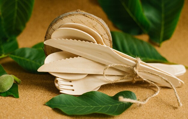 Les ustensiles de cuisine jetables écologiques reposent sur des feuilles vertes. Rejet du plastique.