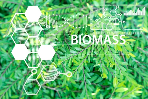 Utilisation de la biomasse et de la chimie pour conserver la natureBiomasse pour le concept de conservation à long terme