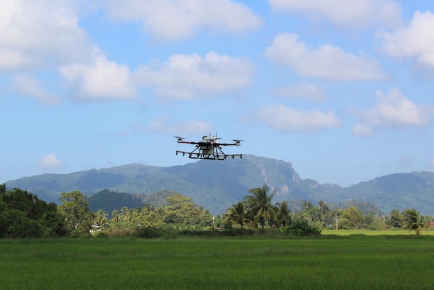 Utilisation de drones agricoles pour pulvériser des pesticides dans les rizières