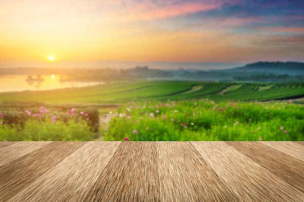 Utilisation de la table de planche de bois de l'espace vide pour la présentation des aliments et des produits avec un champ de plantation de thé de nature floue en arrière-plan