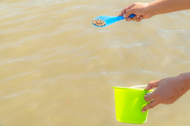 Photo utilisez une cuillère bleue pour nourrir les poissons.