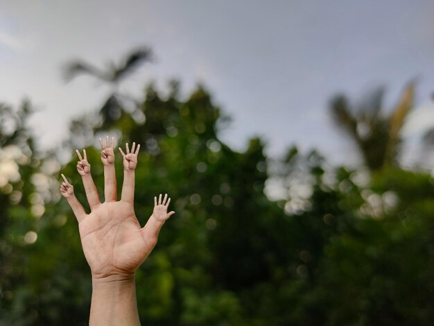 Photo utilisez-le pour votre créativité