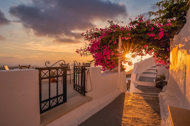 Vacances d'été au coucher du soleil pittoresques de la célèbre destination de luxe en Europe. Architecture blanche à Santorin